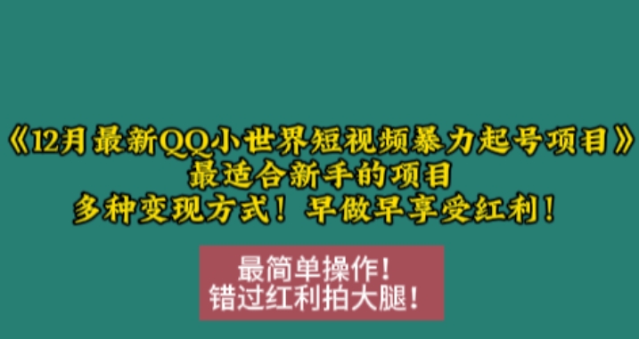 12月最新QQ小世界短视频暴力起号项目，最适合新手的项目，多种变现方式-韬哥副业项目资源网