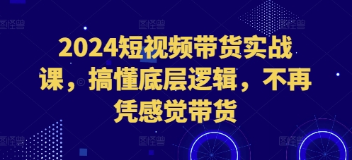 2024短视频带货实战课，搞懂底层逻辑，不再凭感觉带货-韬哥副业项目资源网