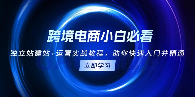 （13503期）跨境电商小白必看！独立站建站+运营实战教程，助你快速入门并精通-韬哥副业项目资源网