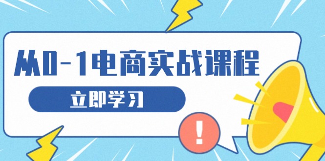 （13594期）从零做电商实战课程，教你如何获取访客、选品布局，搭建基础运营团队-韬哥副业项目资源网