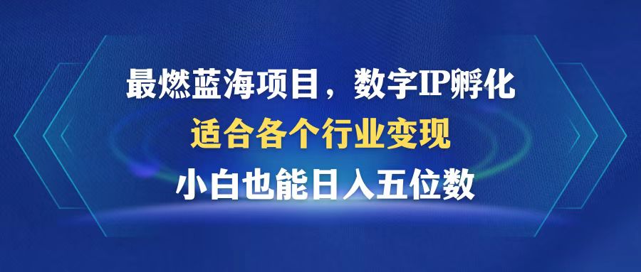 （12941期）超燃蓝海项目  数据IP卵化  适合各个领域转现  新手也可以日入5个数-韬哥副业项目资源网