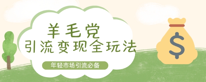 羊毛党引流变现全玩法，年轻市场引流必备-韬哥副业项目资源网