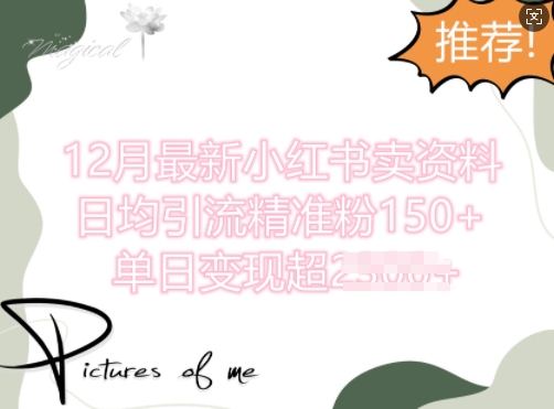 12月最新小红书日均引流精准粉100+，单日变现多张-韬哥副业项目资源网