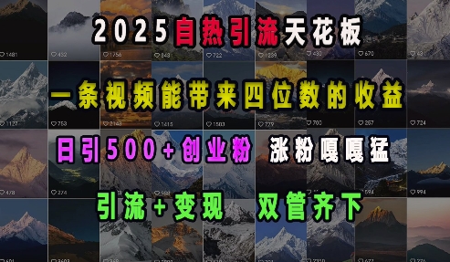 2025自热引流天花板，一条视频能带来四位数的收益，引流+变现双管齐下，日引500+创业粉，涨粉嘎嘎猛-韬哥副业项目资源网