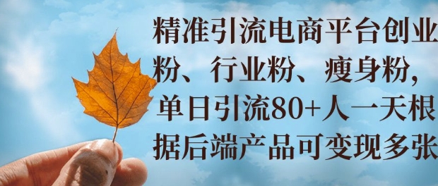 小投资撬动大收益，精准引流创业粉、行业粉，单日引流80+，一天可变现多张-韬哥副业项目资源网