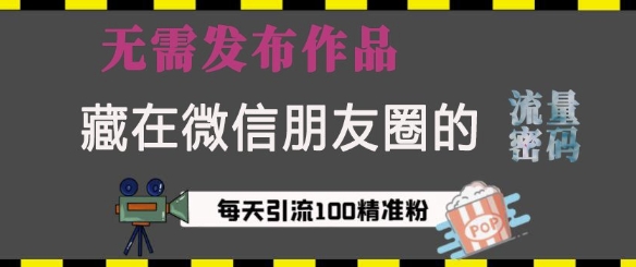 藏在微信朋友圈的流量密码，无需发布作品，单日引流100+精准创业粉【揭秘】-韬哥副业项目资源网