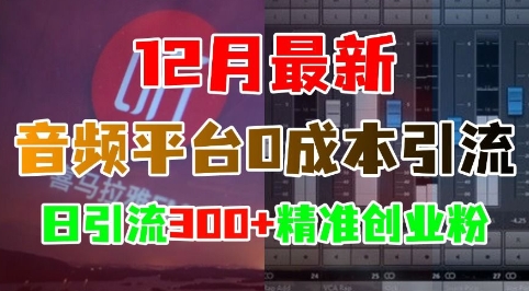 12月最新：音频平台0成本引流，日引流300+精准创业粉-韬哥副业项目资源网