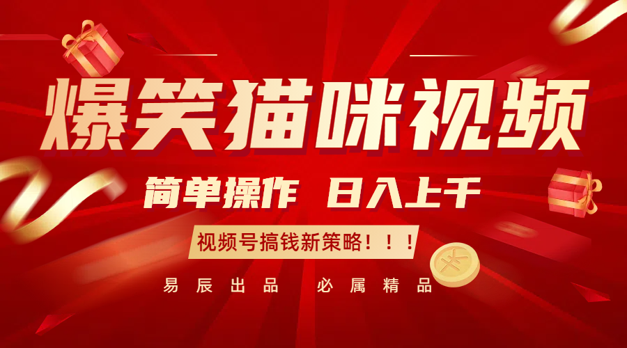 爆笑猫咪视频：简单操作，日入过千，视频号搞钱新策略！-韬哥副业项目资源网