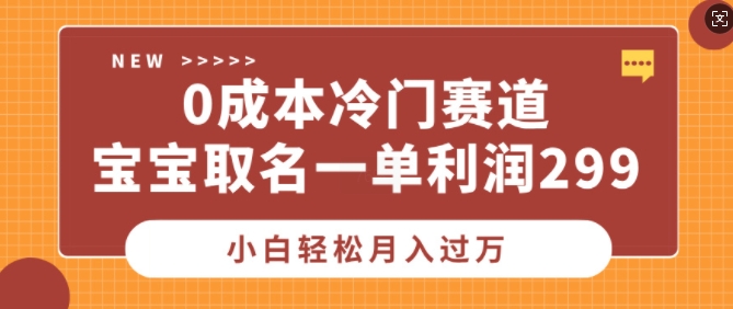 0成本冷门赛道，宝宝取名一单利润299，小白轻松月入过万-韬哥副业项目资源网