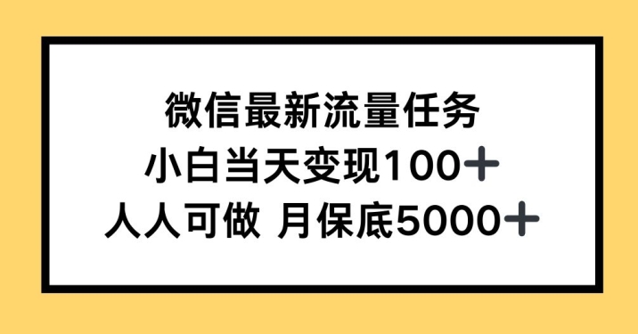 微信最新流量任务，小白当天变现100+，人人可做-韬哥副业项目资源网