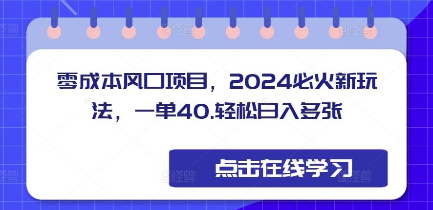 零成本蓝海项目，2024特火新模式，一单40，轻轻松松日入好几张-韬哥副业项目资源网