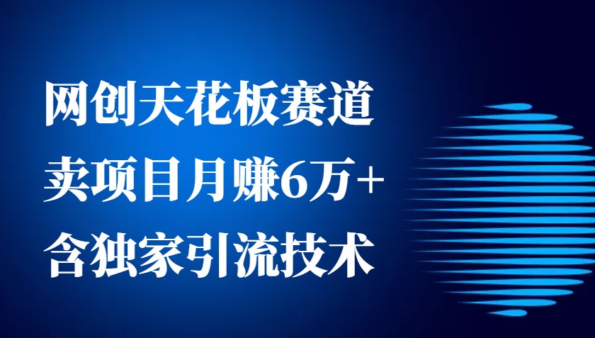 网创天花板赛道，卖项目月赚6万+，含独家引流技术（共26节课）-韬哥副业项目资源网