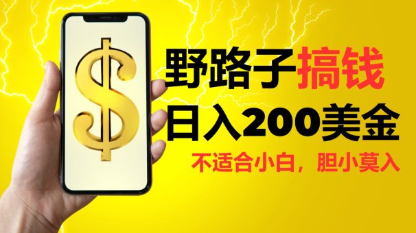 挂机野路子搞钱,日入200美金,路子很野,小白莫入-韬哥副业项目资源网