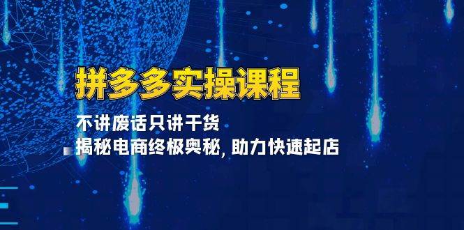 拼多多平台实操课程：不谈空话只谈干货知识, 揭密电子商务最终秘密,助推迅速出单-韬哥副业项目资源网