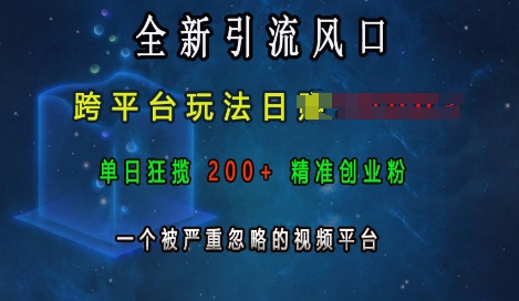 全新引流风口，跨平台玩法日入上k，单日狂揽200+精准创业粉，一个被严重忽略的视频平台-韬哥副业项目资源网