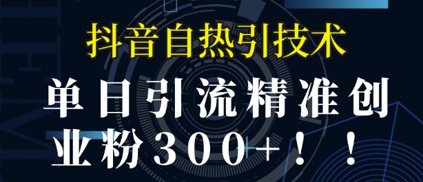 抖音自热引流，单日引流精准创业粉300+-韬哥副业项目资源网