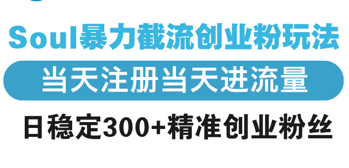 （13935期）Soul暴力截流创业粉玩法，当天注册当天进流量，日稳定300+精准创业粉丝-韬哥副业项目资源网