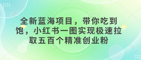 全新蓝海项目，带你吃到饱，小红书一图实现极速拉取五百个精准创业粉-韬哥副业项目资源网