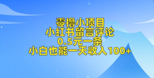 零撸小项目，小红书留言评论，0.5元一条，小白也能一天收入100+-韬哥副业项目资源网