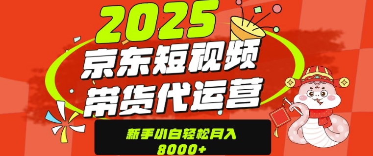 京东商城带货代公司经营，年末翻盘新项目，仅需发视频，单月平稳转现8k-韬哥副业项目资源网