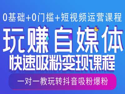 0基础+0门槛+短视频运营课程，玩赚自媒体快速吸粉变现课程，一对一教玩转抖音吸粉爆粉-韬哥副业项目资源网