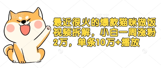 最近很火的爆款猫咪做饭视频拆解，小白一周涨粉2万，单条10万+播放(附保姆级教程)-韬哥副业项目资源网