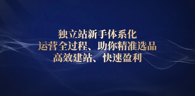 （13914期）独立站新手体系化 运营全过程，助你精准选品、高效建站、快速盈利-韬哥副业项目资源网