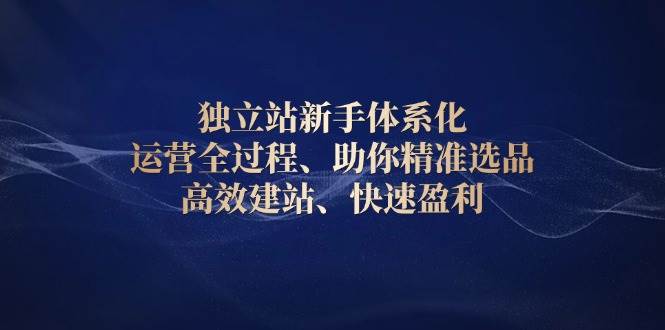 独立站新手体系化 运营全过程，助你精准选品、高效建站、快速盈利-韬哥副业项目资源网