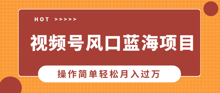 视频号风口蓝海项目，中老年人的流量密码，操作简单轻松月入过W-韬哥副业项目资源网
