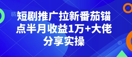 短剧推广拉新番茄锚点半月收益1万+大佬分享实操-韬哥副业项目资源网