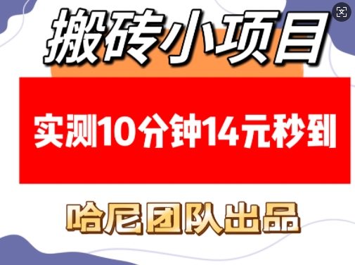 搬砖小项目，实测10分钟14元秒到，每天稳定几张(赠送必看稳定)-韬哥副业项目资源网