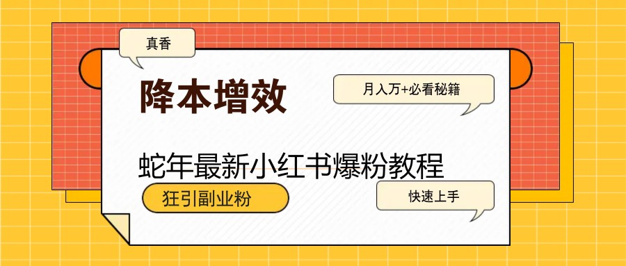 蛇年全新小红书的涨粉实例教程，狂引第二职业粉，月入万 必读-韬哥副业项目资源网