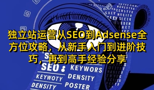 独立站运营从SEO到Adsense全方位攻略，从新手入门到进阶技巧，再到高手经验分享-韬哥副业项目资源网