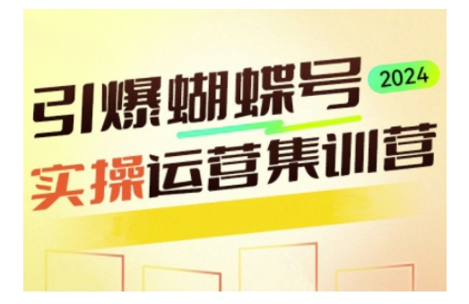 引爆蝴蝶号实操运营，助力你深度掌握蝴蝶号运营，实现高效实操，开启流量变现之路-韬哥副业项目资源网