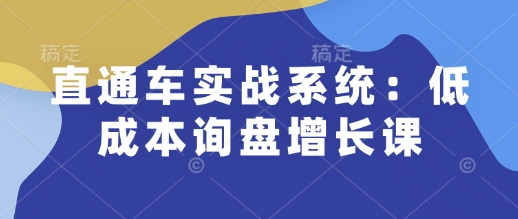 直通车实战系统：低成本询盘增长课，让个人通过技能实现升职加薪，让企业低成本获客，订单源源不断-韬哥副业项目资源网