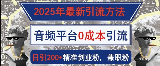 2025年全新推广方法，音频平台0成本费引流方法，日引200 精确自主创业粉-韬哥副业项目资源网