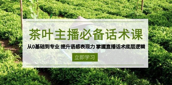 茶网络主播必不可少销售话术课 从0基本到专业 提高英语语感感染力 把握直播带货话术底层思维-韬哥副业项目资源网