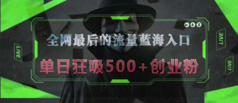 全网最后的流量蓝海入口，半小时引流50+创业粉，单日狂吸500+创业粉-韬哥副业项目资源网