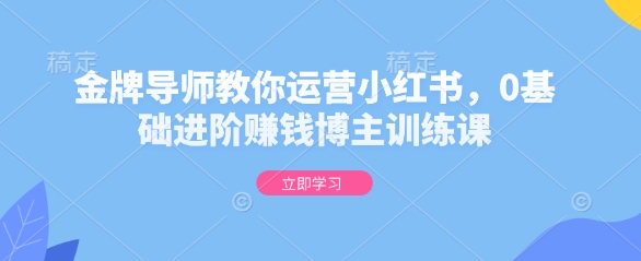 金牌导师教你运营小红书，0基础进阶赚钱博主训练课-韬哥副业项目资源网