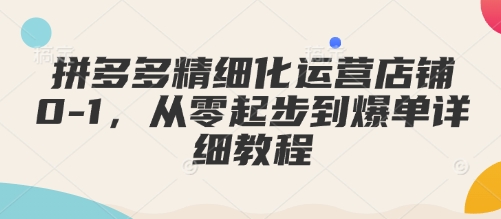 拼多多精细化运营店铺0-1，从零起步到爆单详细教程-韬哥副业项目资源网