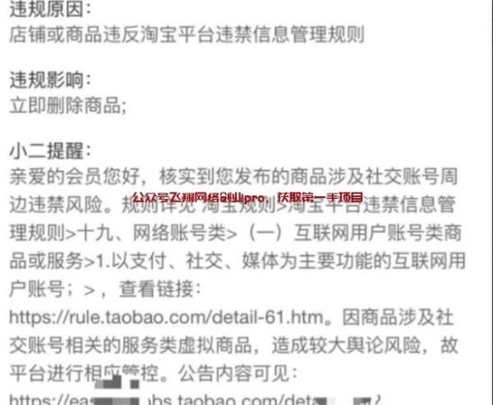 虚拟产品如何避免违规侵权售假起诉-韬哥副业项目资源网