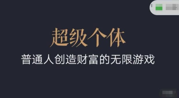 超级个体2024-2025逆风翻盘手册,平常人创造价值的无限恐怖游戏-韬哥副业项目资源网