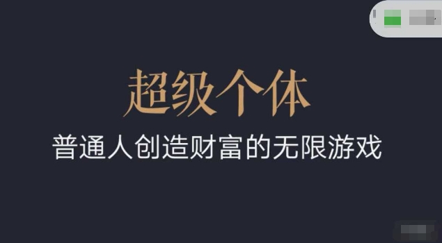 超级个体2024-2025逆风翻盘手册，平常人创造价值的无限恐怖游戏-韬哥副业项目资源网