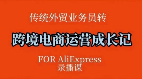 跨境电商速卖通运营课,运营方法论 后台实操,逻辑清晰