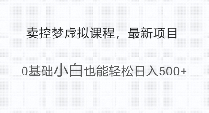 最新小众新项目，运用大家猎奇的心理状态卖控梦虚拟课程，0基本新手都可以轻松日入好几张-韬哥副业项目资源网