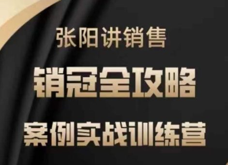 张阳讲销售实战训练营,案例实战训练,销冠全攻略-韬哥副业项目资源网