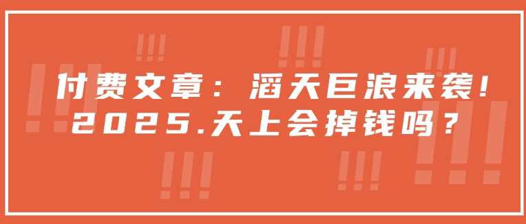 付费文章：狂风巨浪来临！2025天空就掉了钱吗？-韬哥副业项目资源网