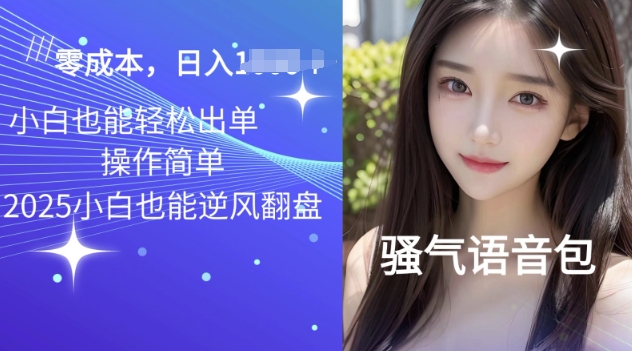 2025骚性导航语音包新项目，零基础小白单日转现好几张-韬哥副业项目资源网