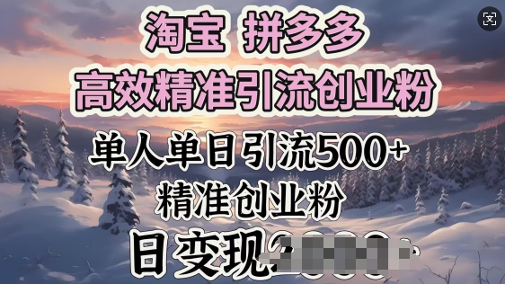 淘宝拼多多高效精准引流创业粉,单人单日引流500 创业粉,日变现多张