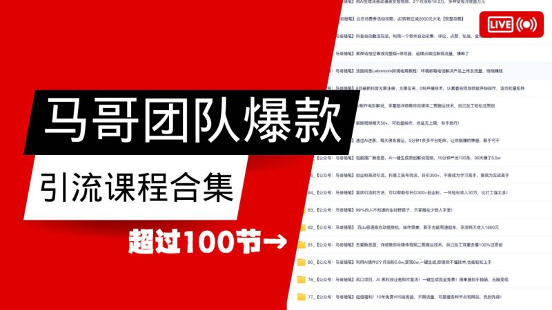 马哥团队【122节】最全项目爆款引流课程合集【持续更新】-韬哥副业项目资源网